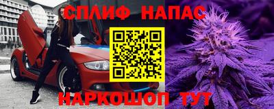 прущие грибы Волгодонск