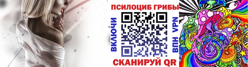 даркнет какой сайт купить наркотики цена Гусь-Хрустальный Псилоцибиновые грибы GOLDEN TEACHER