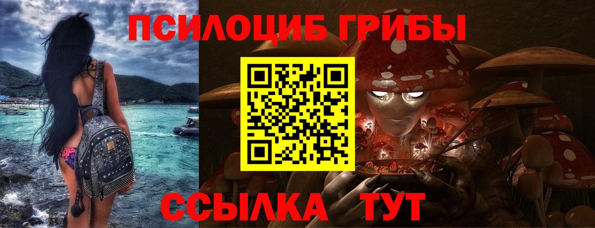 Галлюциногенные грибы мицелий  Гусь-Хрустальный 