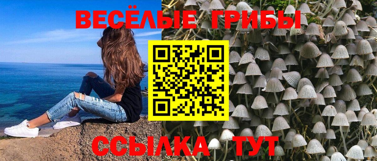 Псилоцибиновые грибы Psilocybine cubensis  Вход с VPN  Гусь-Хрустальный  Галлюциногенные грибы GOLDEN TEACHER 