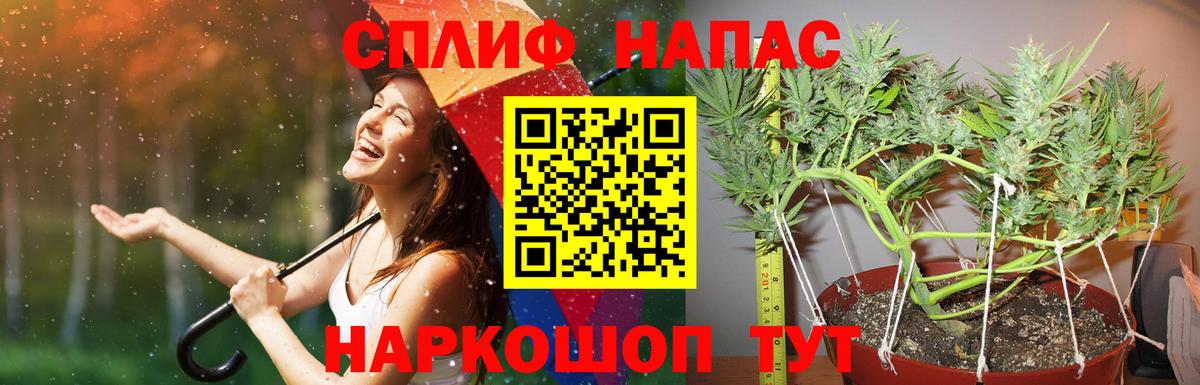 Шишки марихуана марихуана Гусь-Хрустальный